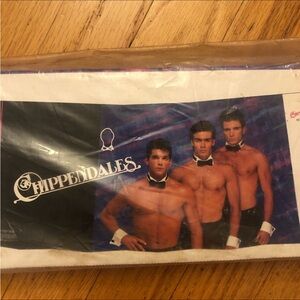 Rare Vintage Chippendale Dancers Car Sunshade